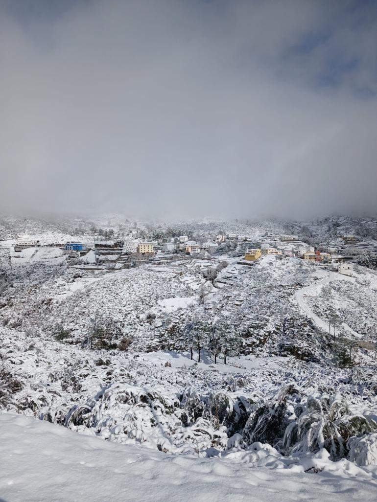  Tour Privado à Serra da Estrela - 8 horas 